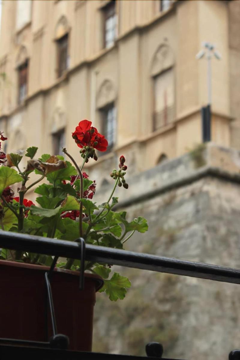 B&B "Al Bastione Normanno Palermo Exterior photo